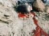 خاطرات همسفرها (نه)