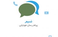 مسابقه عكس راهپيمايي بزرگ اربعين درشبكه پيام رسان 'نسيم'